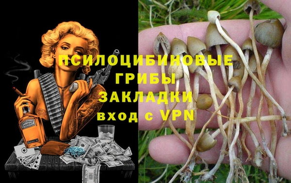 марки nbome Алексеевка